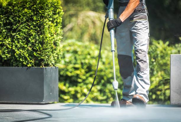 Best Animal Enclosure Cleaning  in Juno Ridge, FL