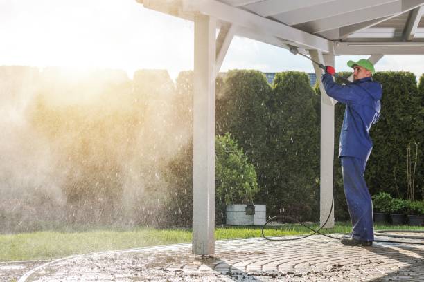 Solar Panel Cleaning in Juno Ridge, FL